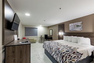 Habitación de hotel con cama, escritorio, televisor, ventana con persianas y un cuadro en la pared.