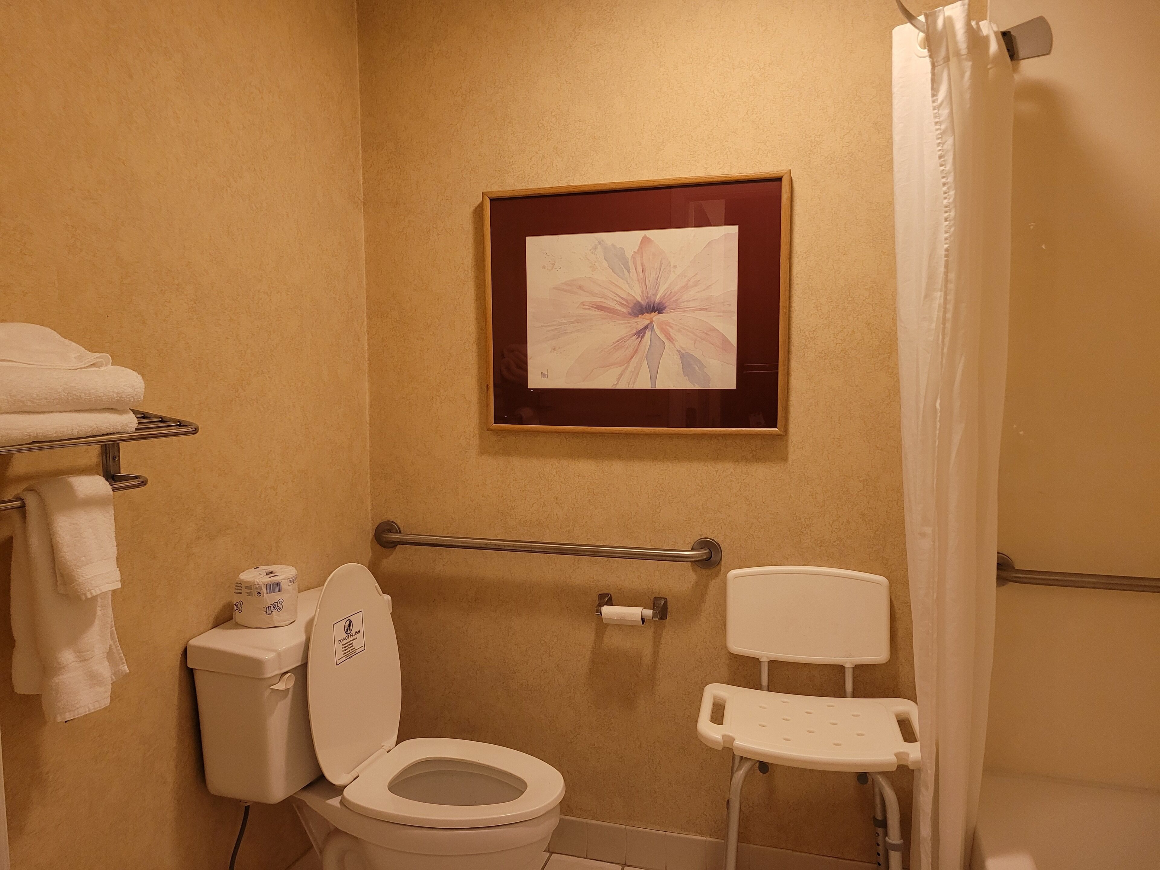 A bathroom with a toilet, a handrail, a shower curtain, and a framed picture on the wall.