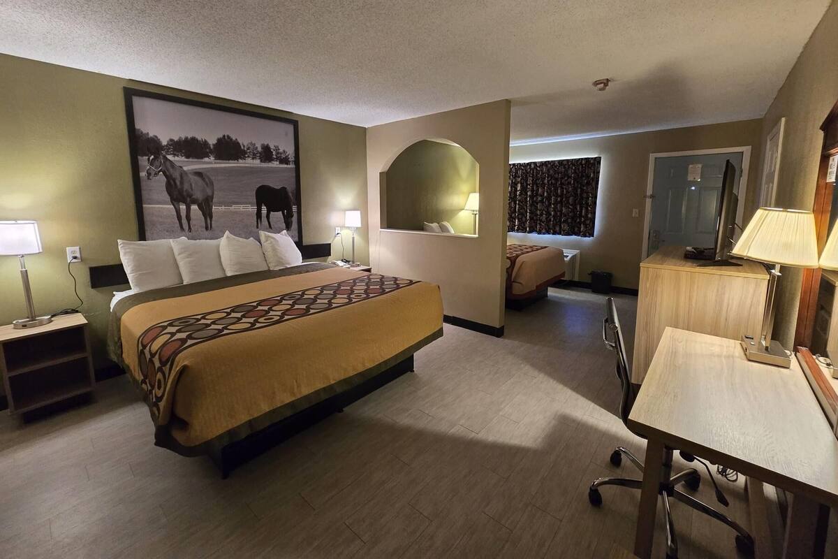 Une chambre d’hôtel avec un grand lit, un bureau, une chaise, une lampe de bureau, un téléviseur et un tableau encadré au mur.