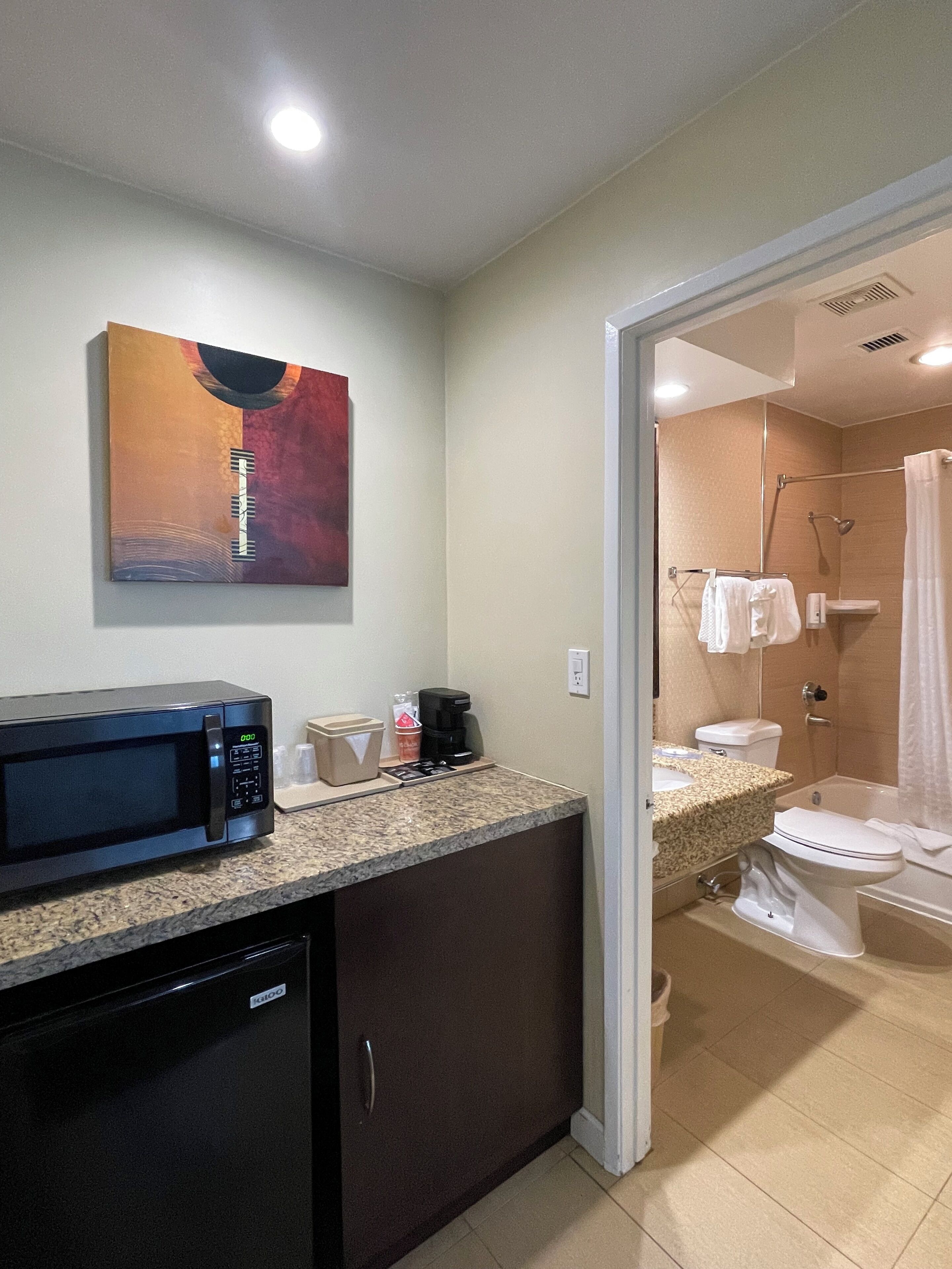 suite, 1 king bed with sofa bed, non smoking | bathroom | combined shower/bathtub, free toiletries, hair dryer, towels