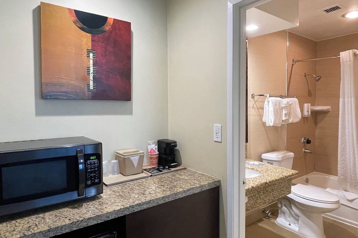 suite, 1 king bed with sofa bed, non smoking | bathroom | combined shower/bathtub, free toiletries, hair dryer, towels