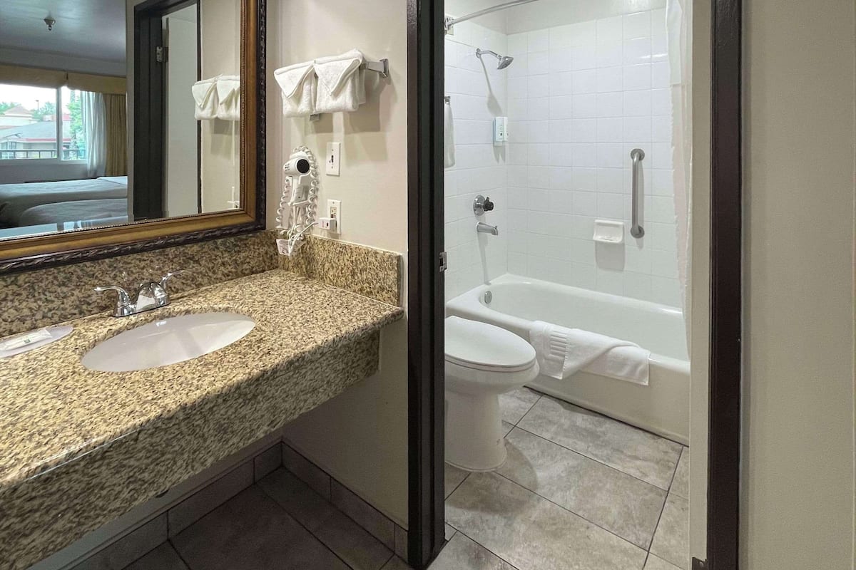 combined shower/bathtub, free toiletries, hair dryer, towels