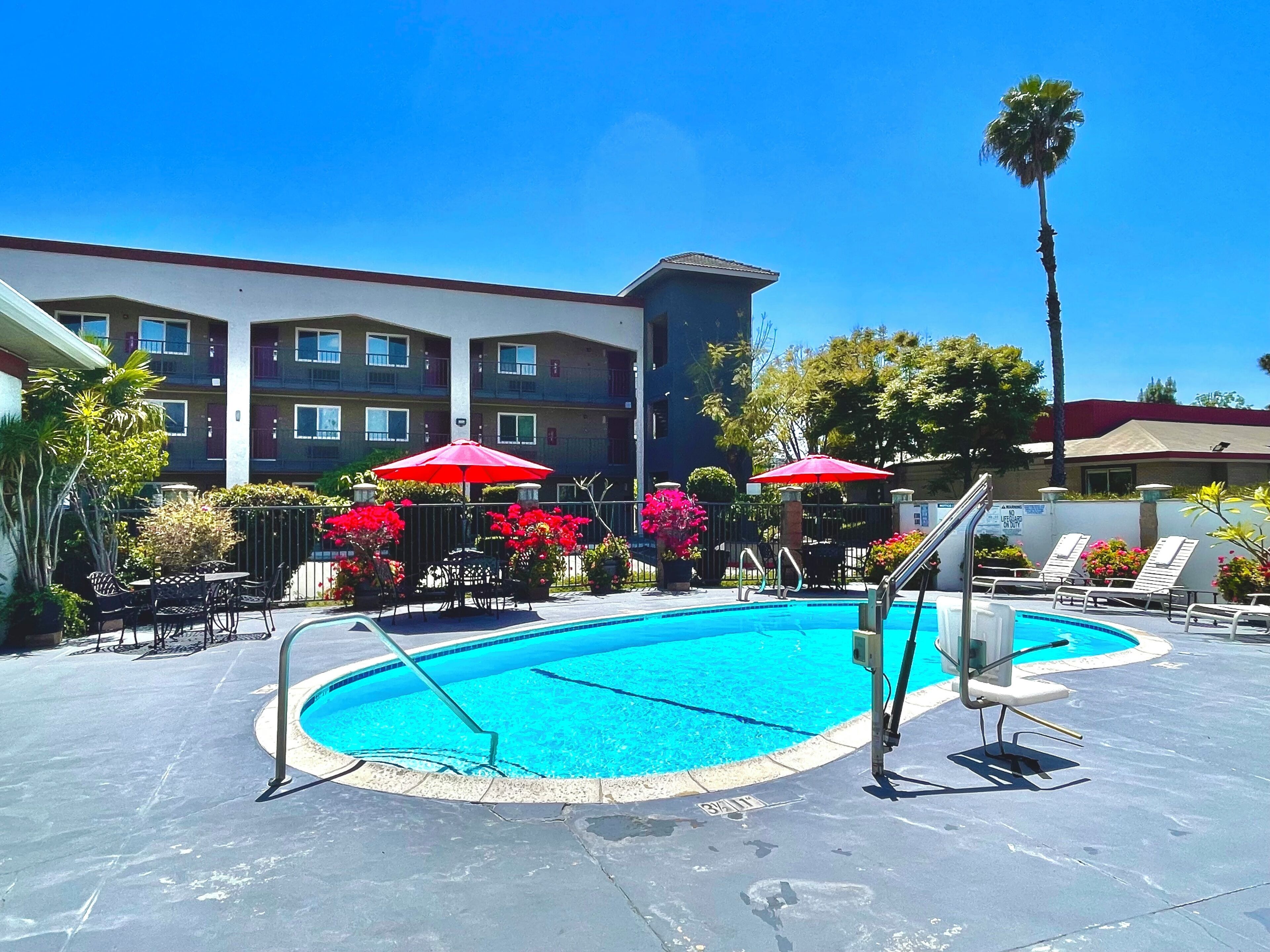A swimming pool with lounge chairs and umbrellas, surrounded by a building with multiple balconies and a palm tree.