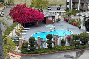 Outdoor pool, pool umbrellas, pool loungers