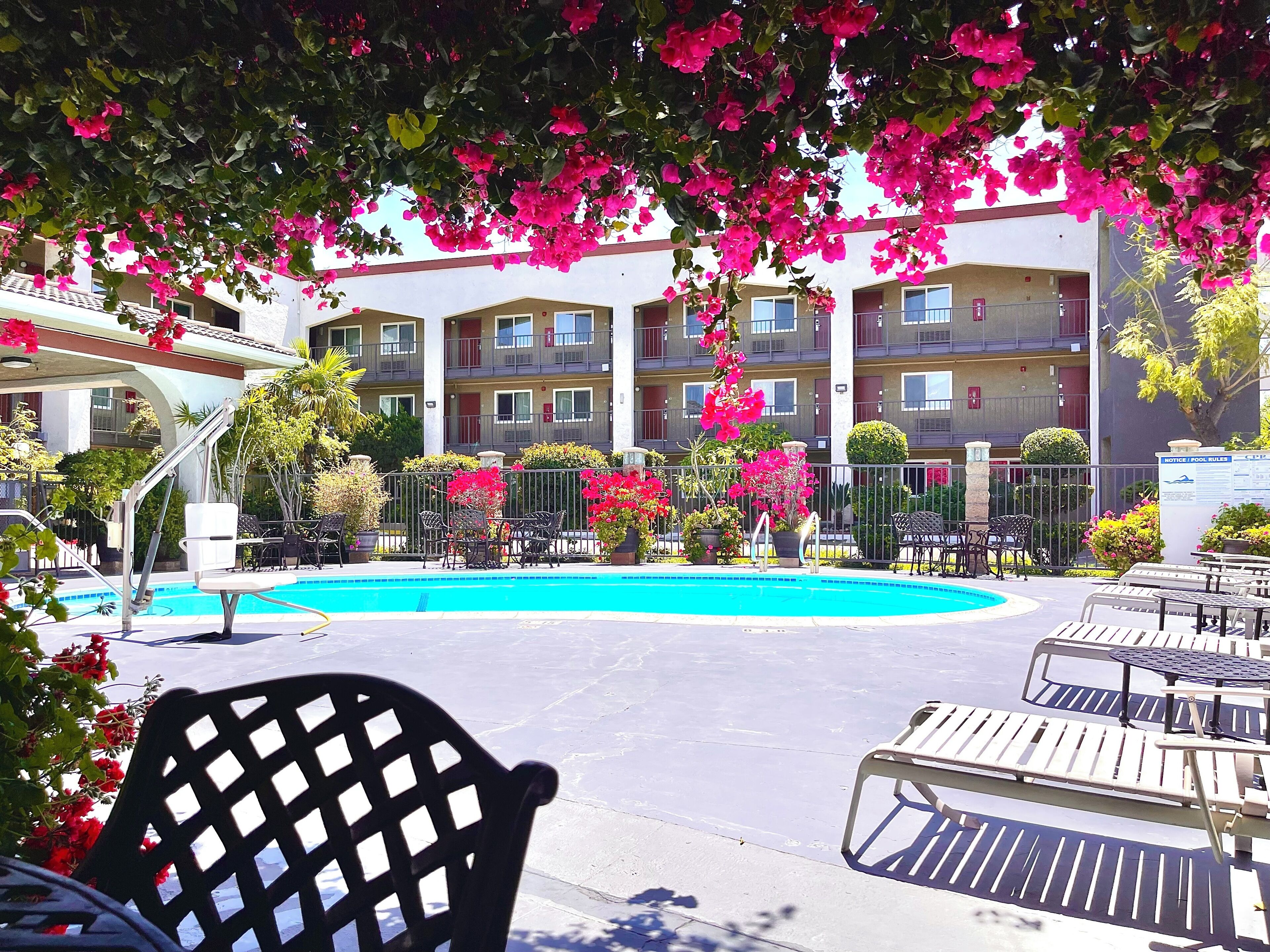 สระว่ายน้ำกลางแจ้ง, ร่มริมสระว่ายน้ำ, เก้าอี้อาบแดดริมสระ