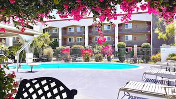 Outdoor pool, pool umbrellas, sun loungers