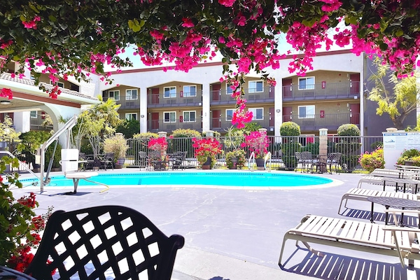 Outdoor pool, pool umbrellas, sun loungers