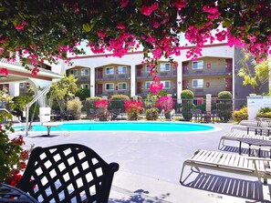 Outdoor pool, pool umbrellas, pool loungers