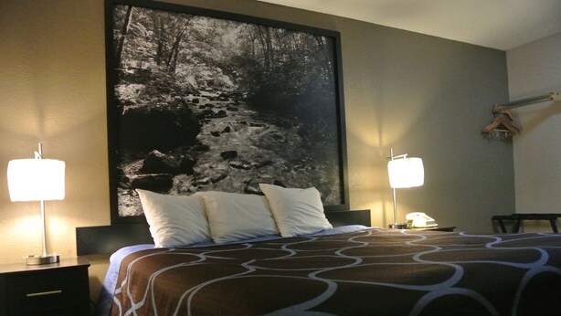 A hotel room with a large bed, two bedside lamps, a telephone, and a large framed picture on the wall.