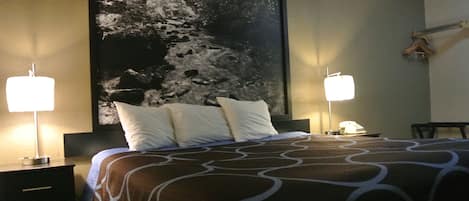 Room, 1 King Bed, Non Smoking (First floor room, no stairs) | View from room