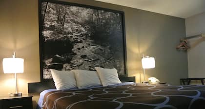Super 8 by Wyndham Cortez/Mesa Verde Area