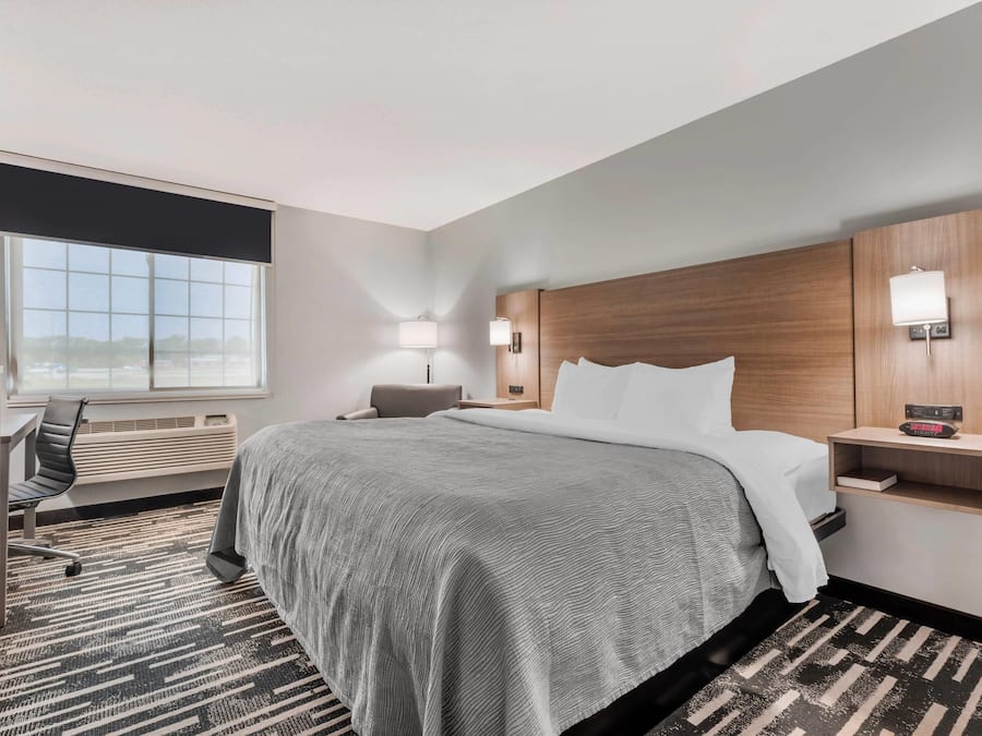 Standard Room, 1 King Bed, Non Smoking | Down duvets, desk, laptop workspace, blackout curtains