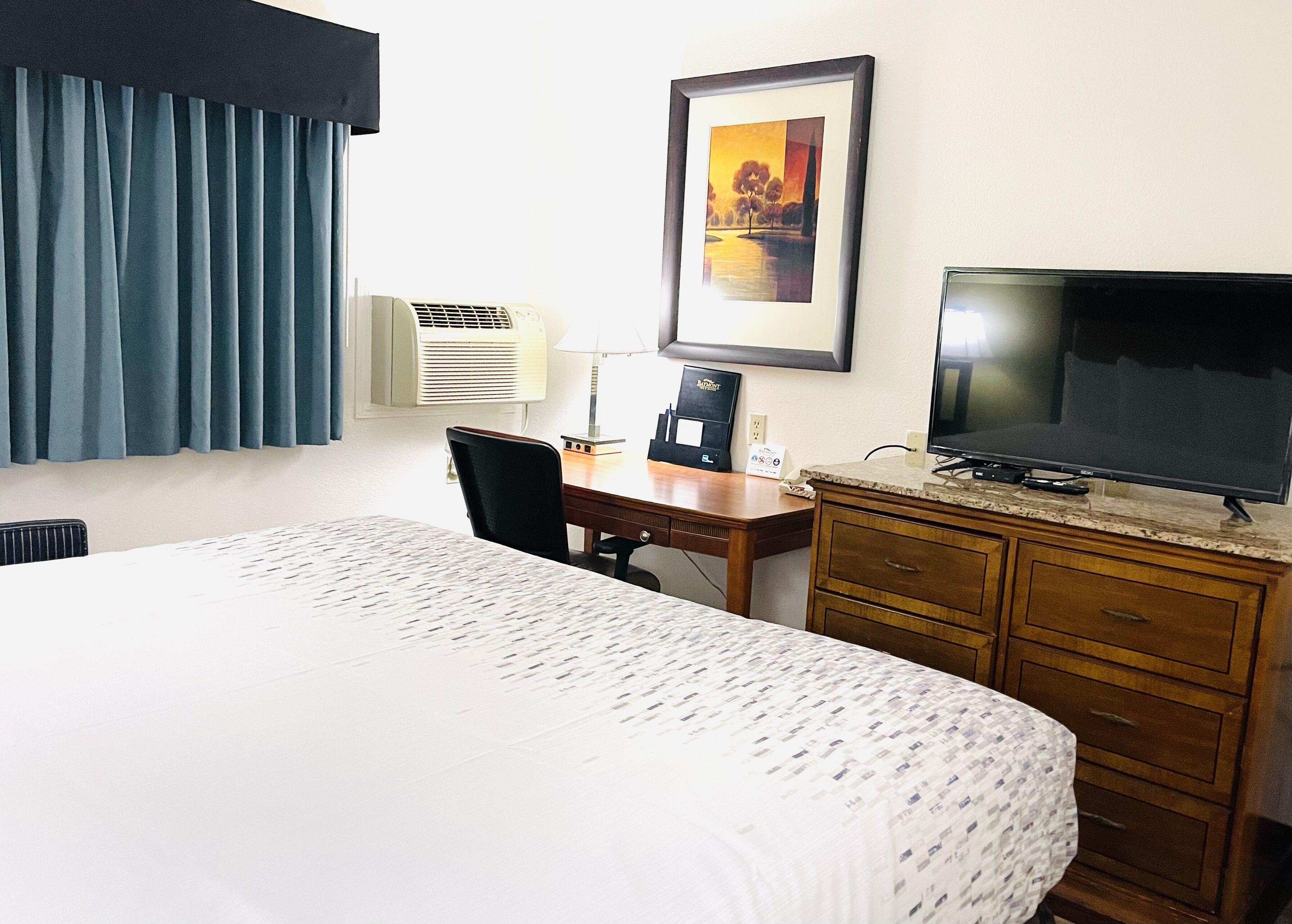 A hotel room with a bed, a desk, a chair, a television, a lamp, and a framed picture on the wall.