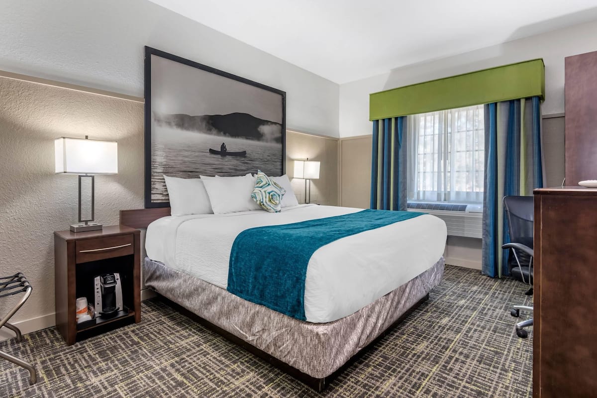 Standard Room, 1 King Bed, Non Smoking | Egyptian cotton sheets, premium bedding, down comforters, pillowtop beds