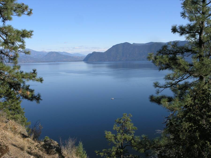 Ein See, umgeben von Bergen und Kiefern.