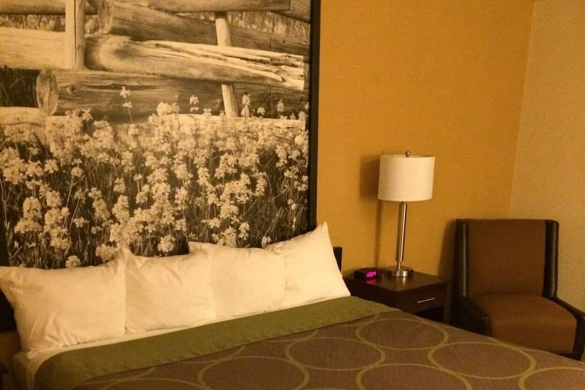 Une chambre d’hôtel avec un grand lit, une table de chevet, une chaise et une lampe fixée au mur.