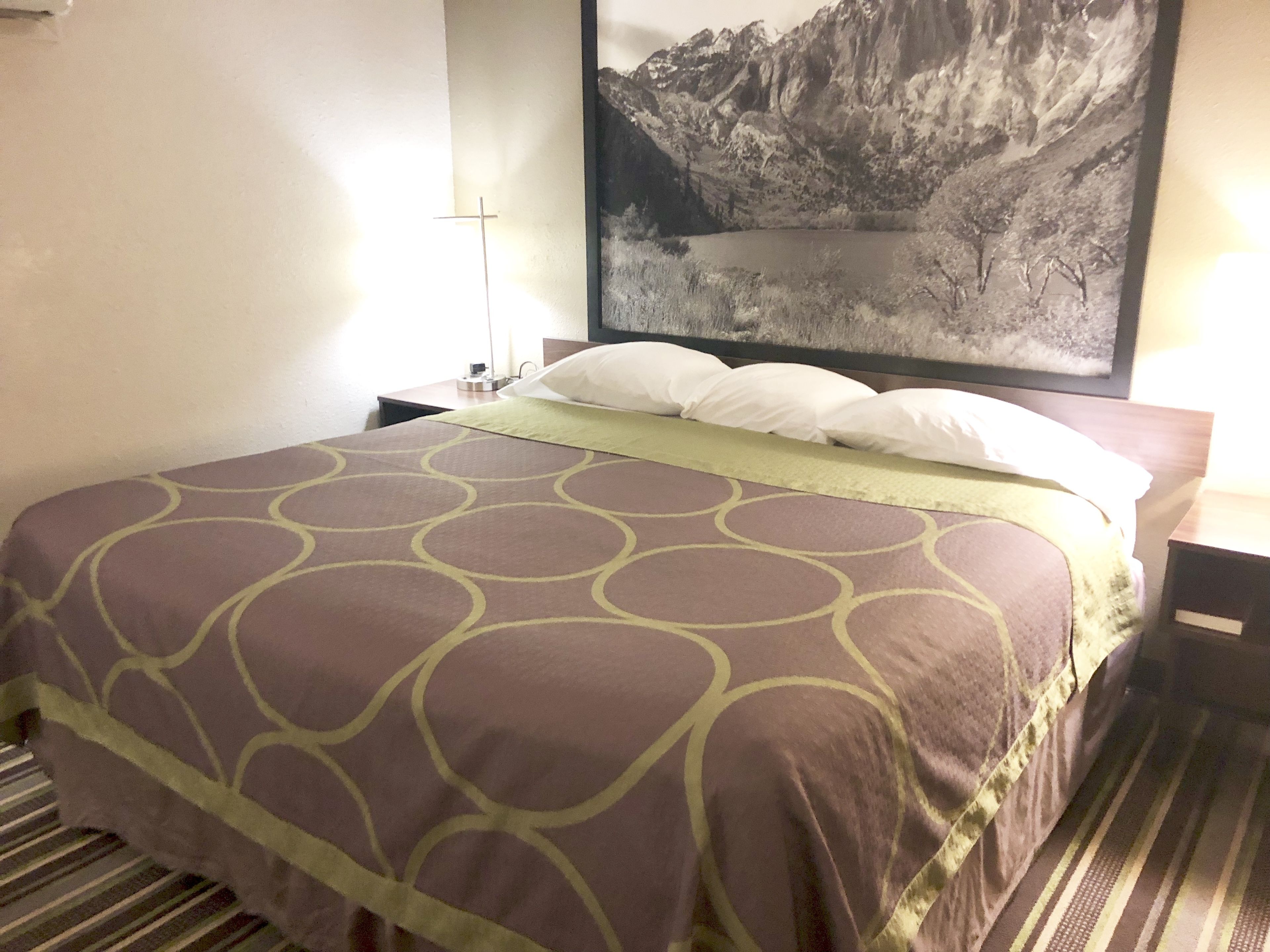 Quarto de hotel com cama, mesa de cabeceira, abajur e um quadro na parede.