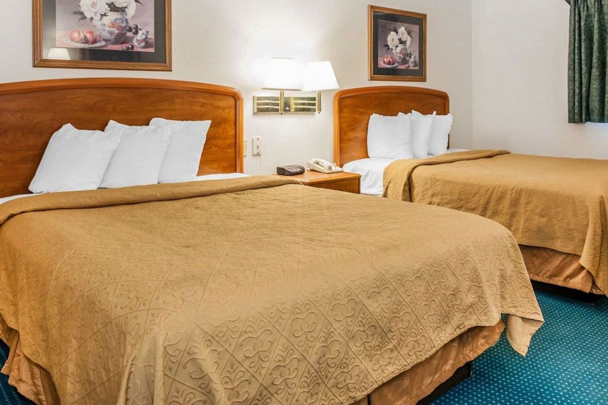 Habitación de hotel con dos camas, una mesita de noche con teléfono y dos cuadros enmarcados con motivos florales en la pared.