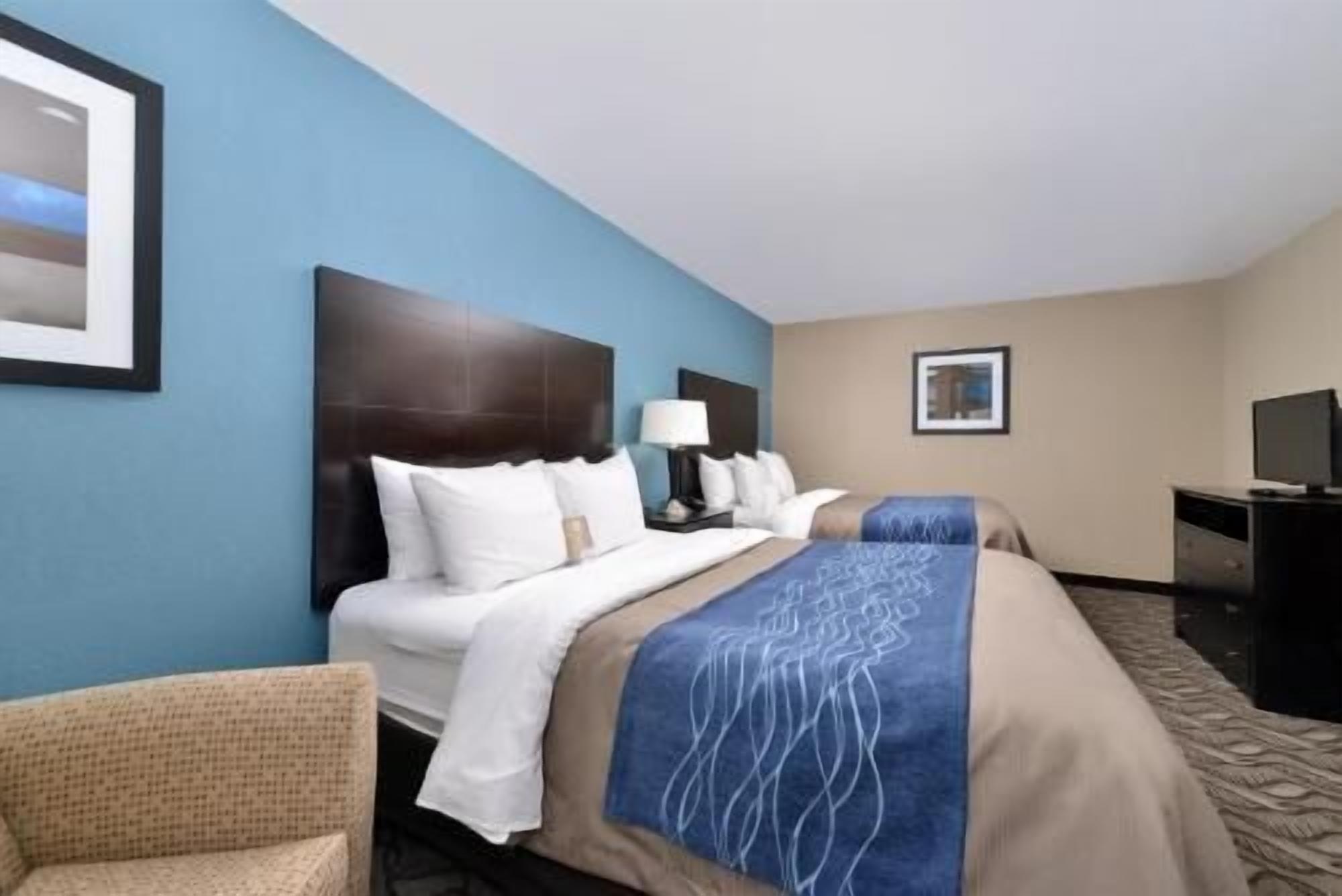 Down comforters, desk, blackout drapes, soundproofing