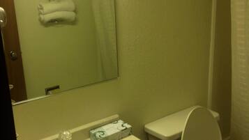 A bathroom with a sink, toilet, and a mirror.