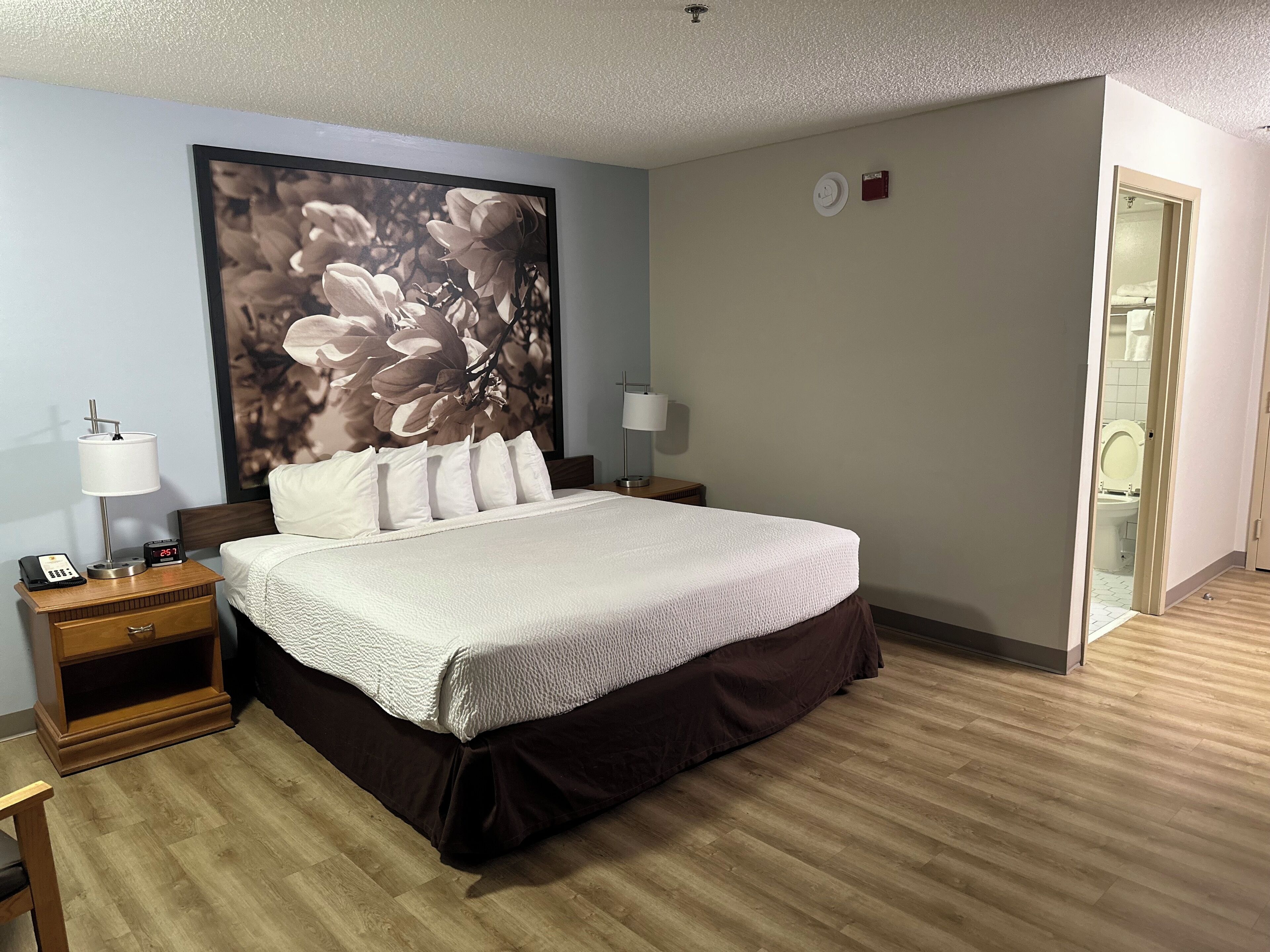 A hotel room with a large bed, a nightstand with a lamp, a clock, and a wall-mounted clock.