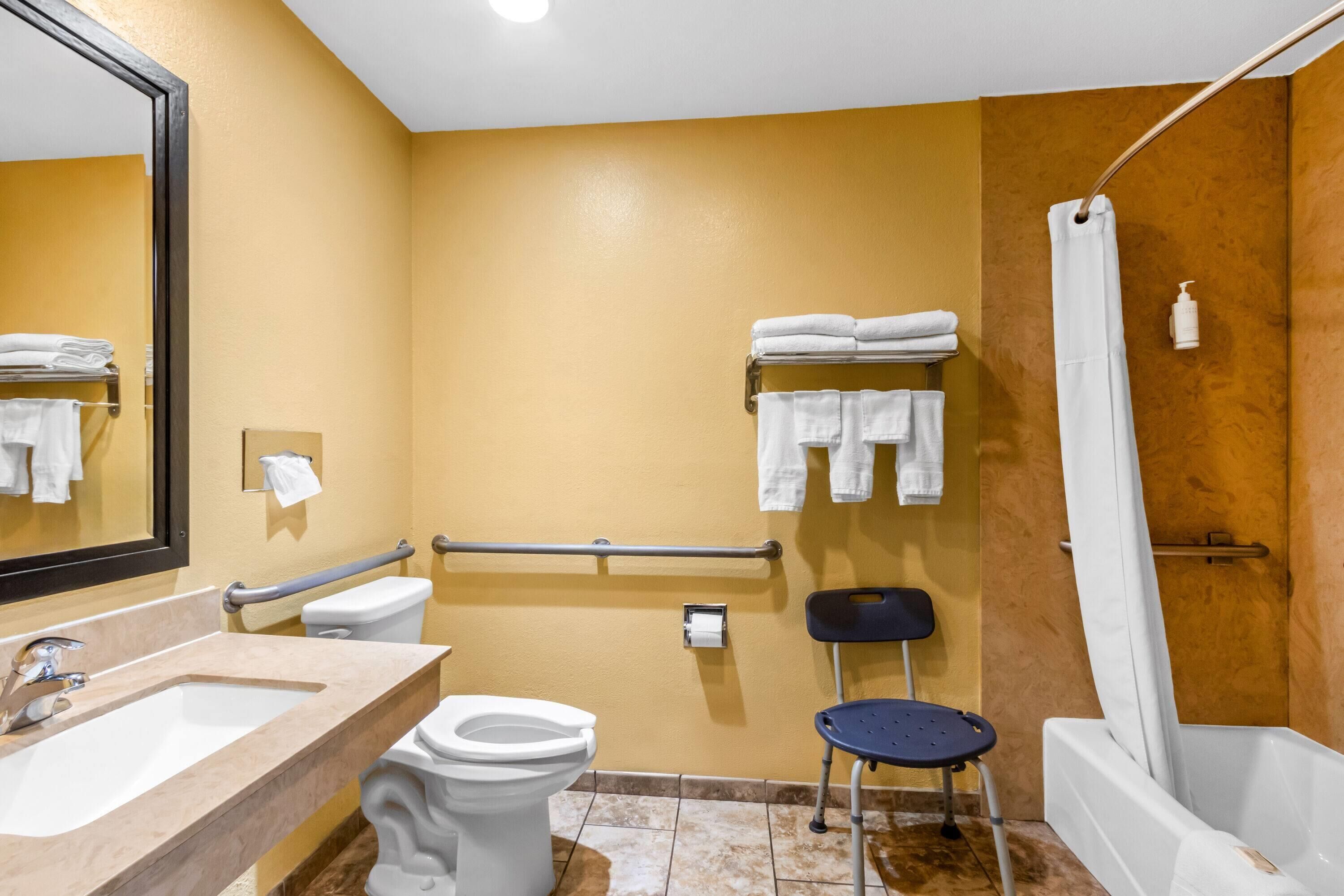 Standard Room, 1 King Bed, Accessible | Accessible bathroom