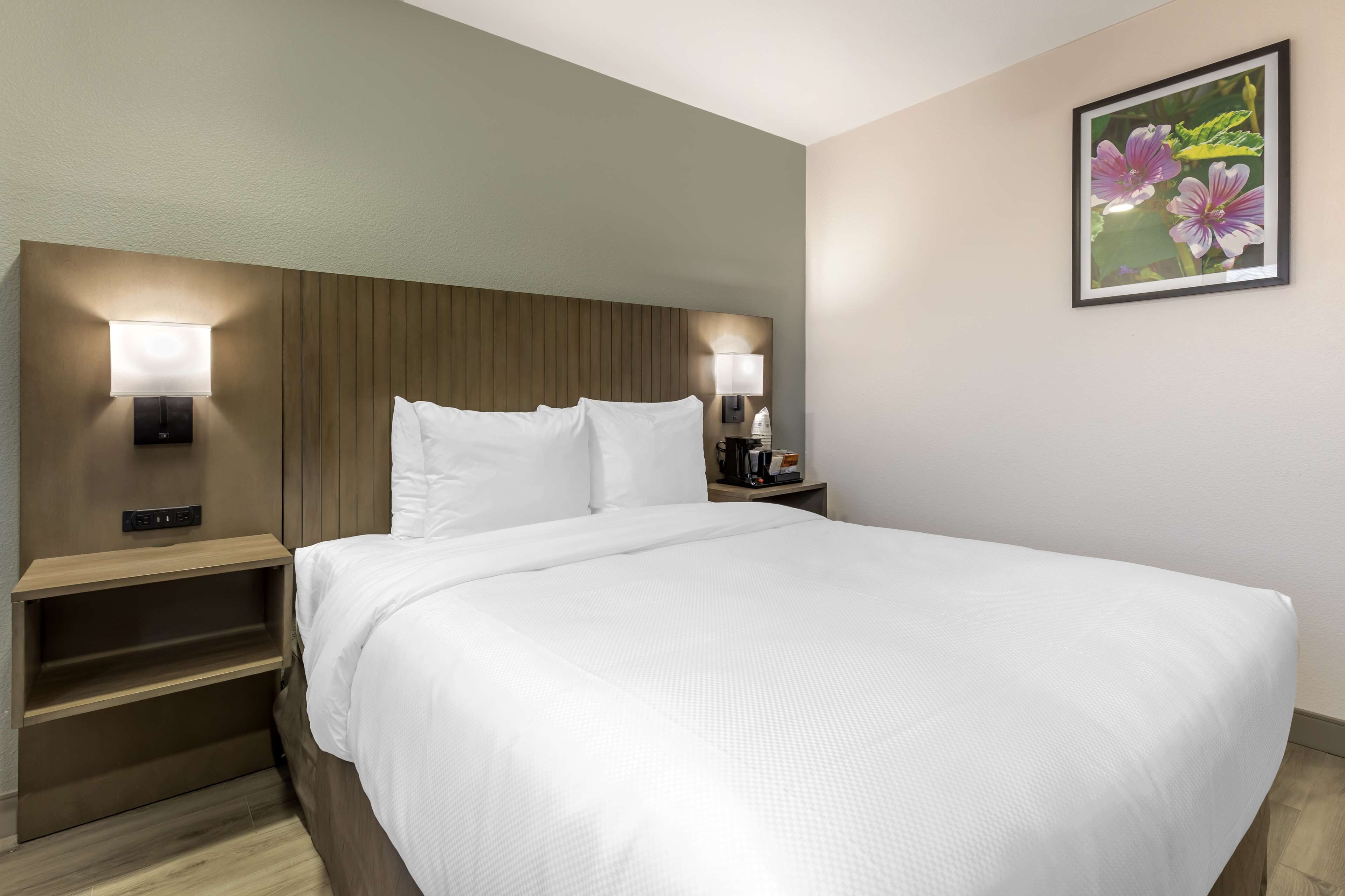 Un lit bien fait, avec des draps blancs, une tête de lit en bois et deux lampes de chevet.