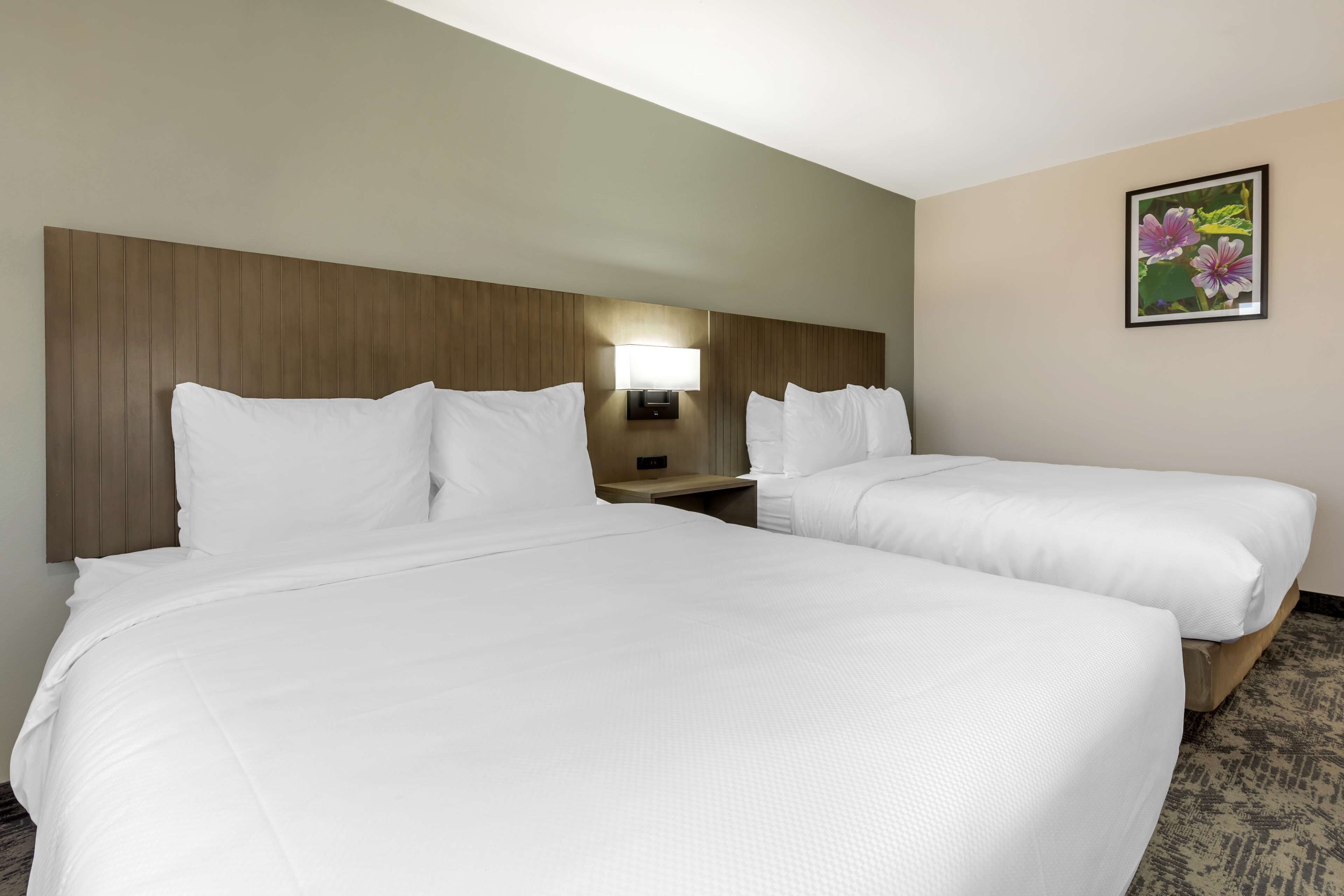 A hotel room with two beds, a wooden headboard, a nightstand with a lamp, and a floral picture on the wall.