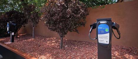 An electric vehicle charging station with a digital display, surrounded by a gravel area and a tree.