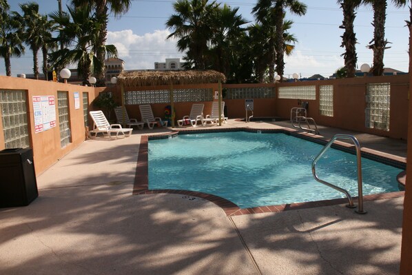 A swimming pool with lounge chairs, a thatched roof structure, and palm trees.