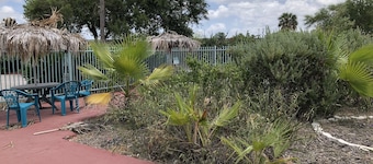 University Inn & Suites