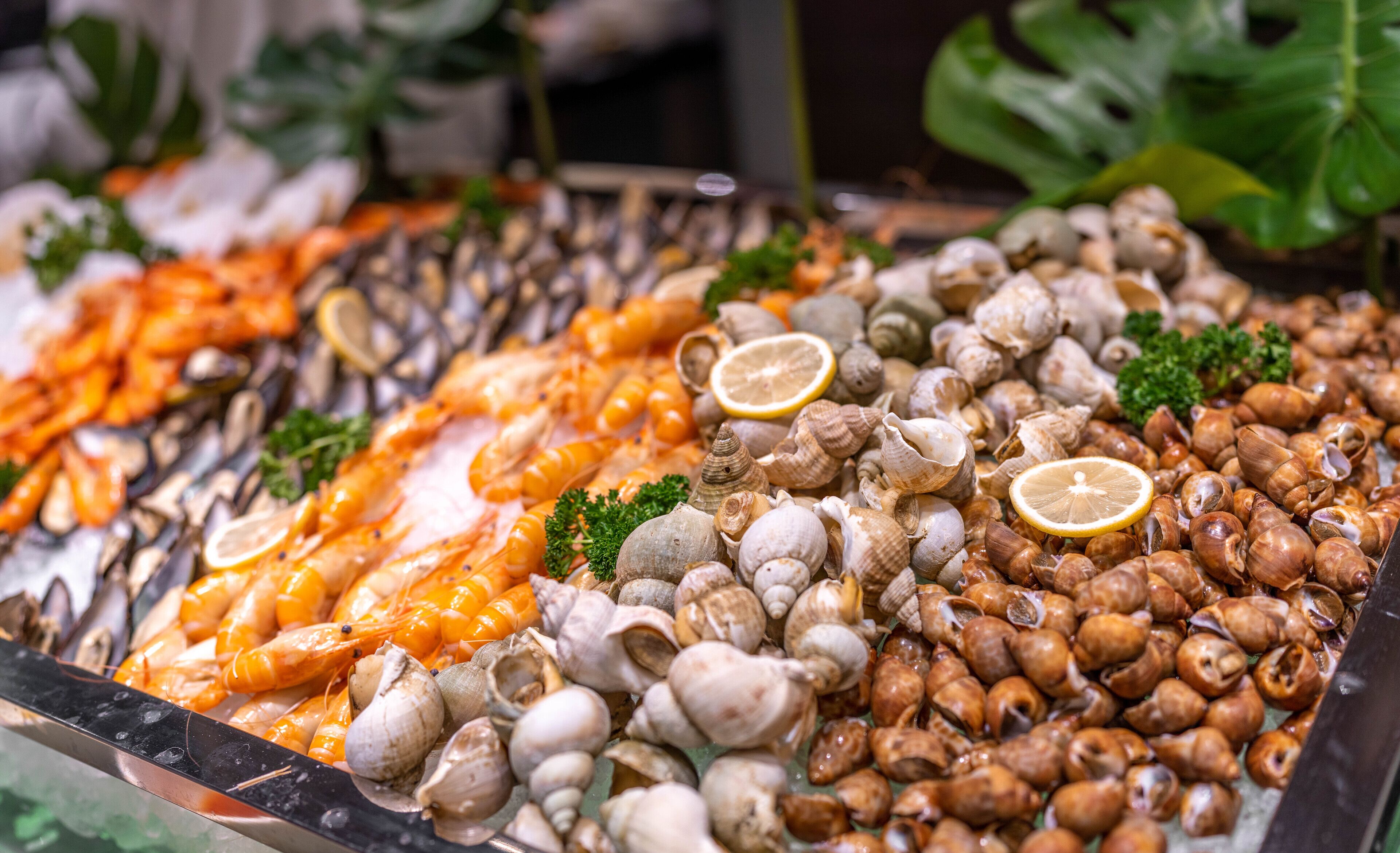 A seafood display with shrimp, clams, and mussels.