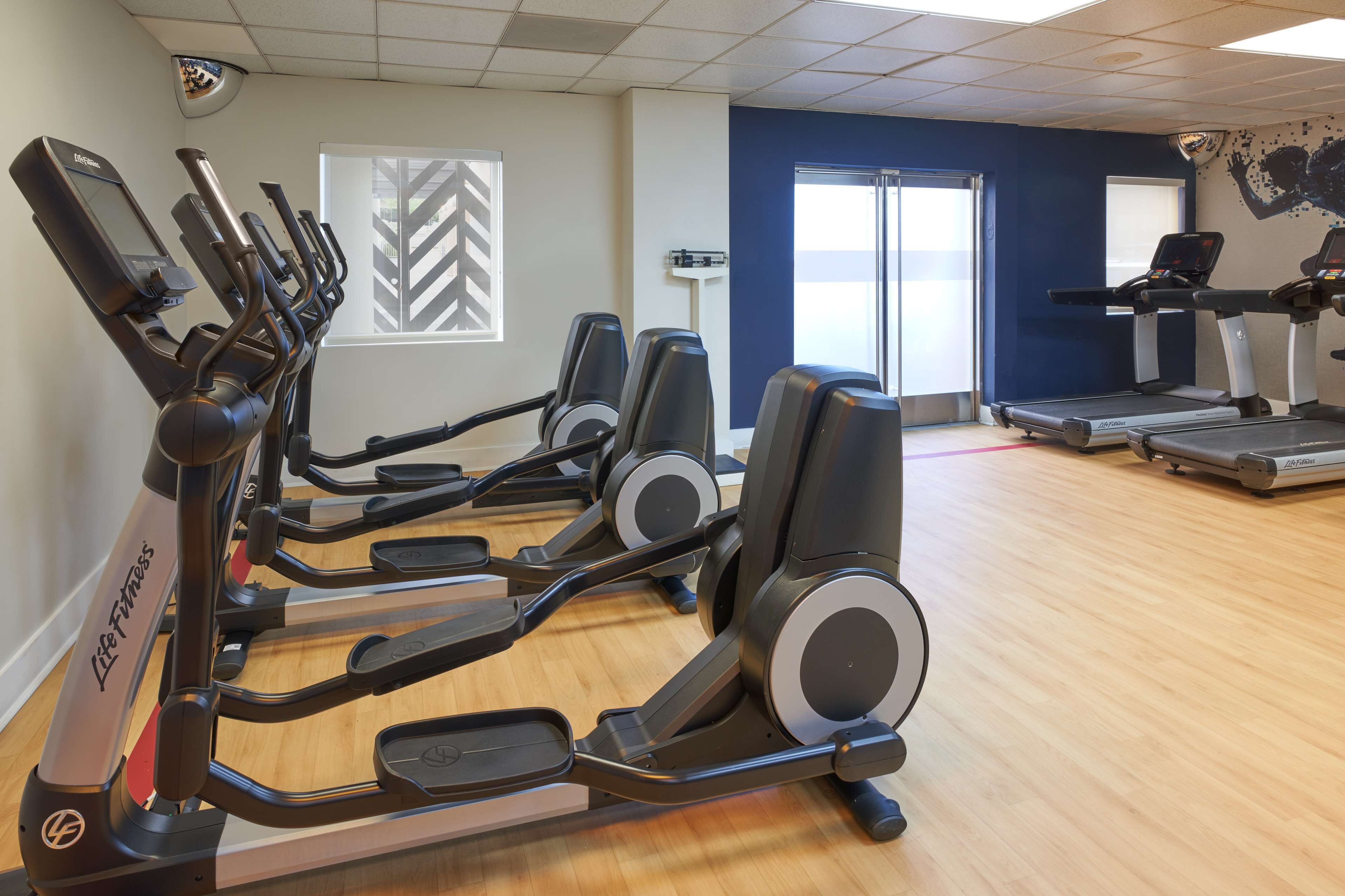 A gym with multiple treadmills and elliptical machines.