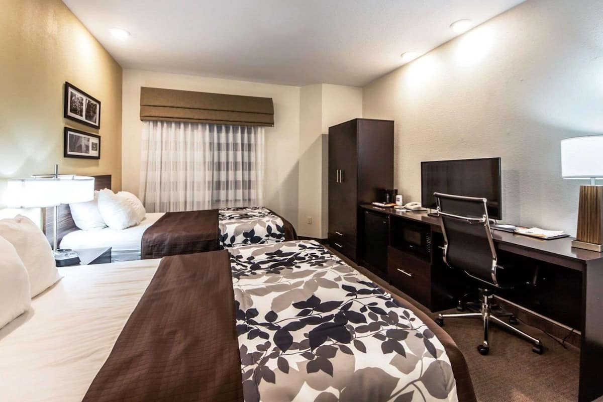 Ett hotellrum med två sängar, ett skrivbord, en stol, en TV och en lampa.