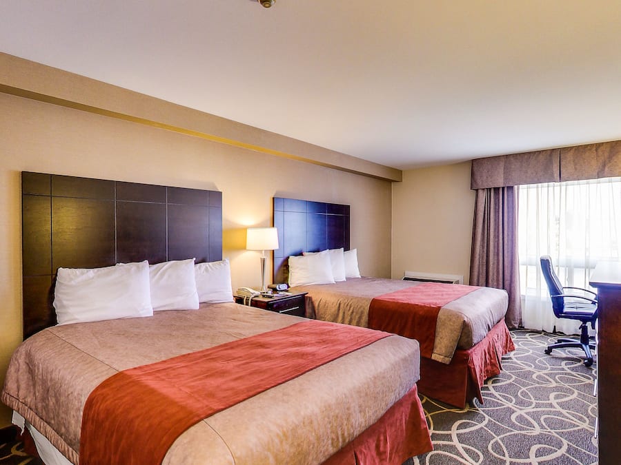 Verdunkelungsvorhänge, Bügeleisen/Bügelbrett, Zustellbetten