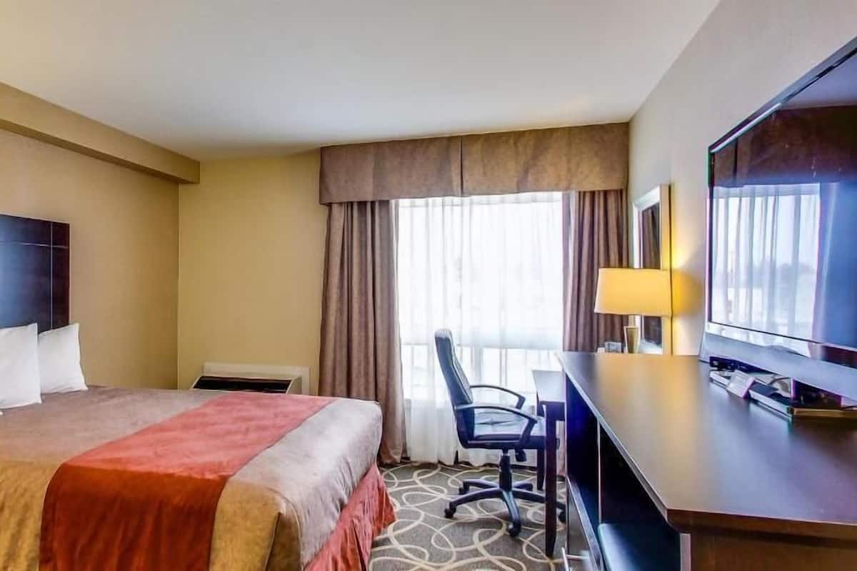 Blackout drapes, iron/ironing board, rollaway beds, free WiFi