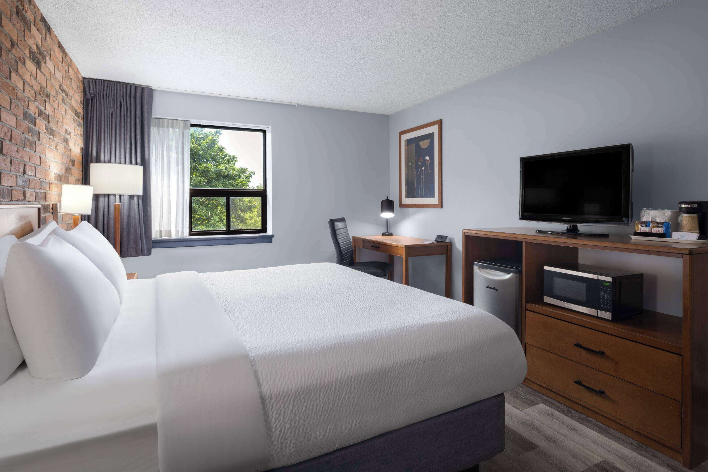 Een hotelkamer met een groot bed, een bureau met een computer, een televisie en uitzicht op groen.