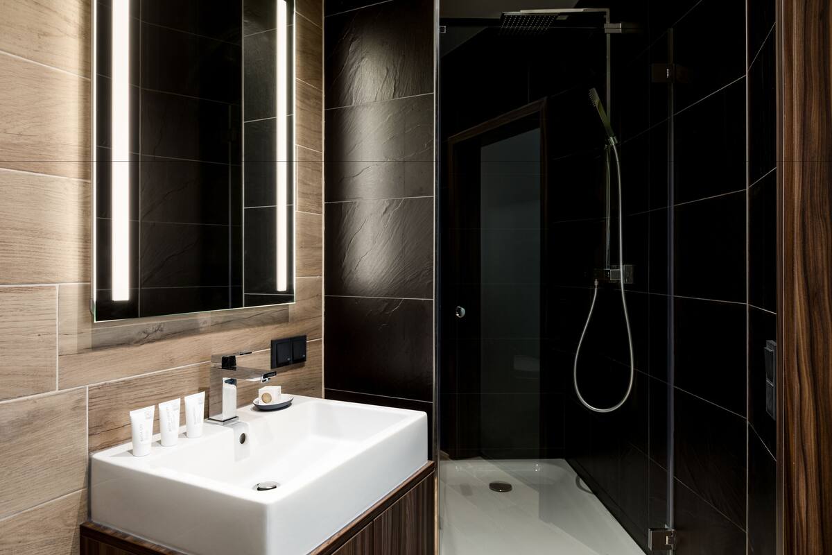 shower, rainfall showerhead, free toiletries, hair dryer