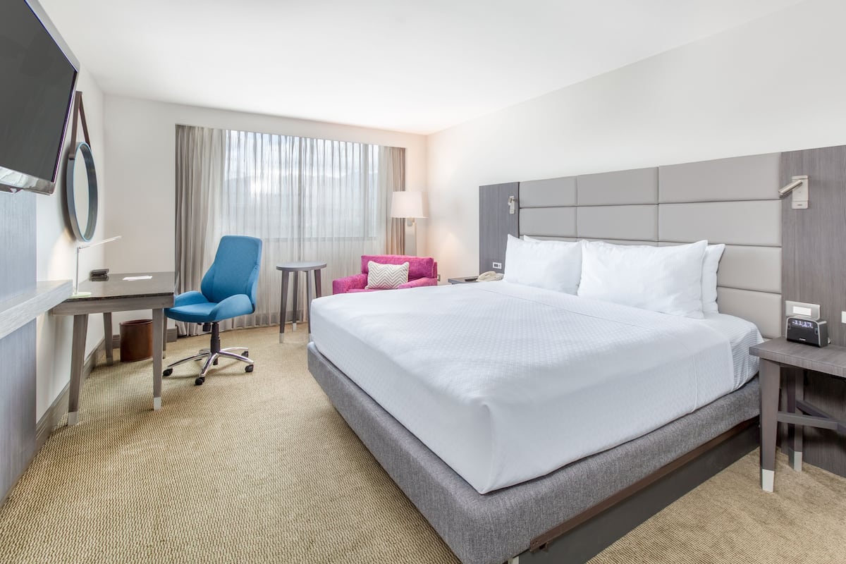 Premium bedding, pillow-top beds, in-room safe, desk