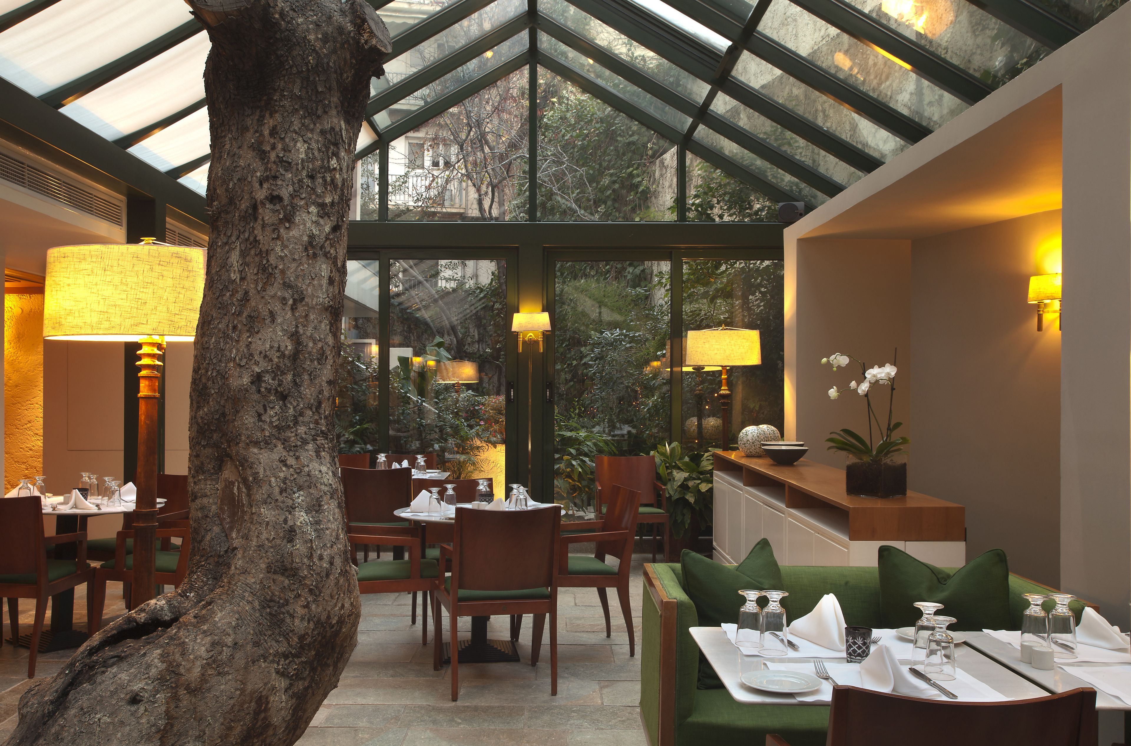 A restaurant with a glass ceiling, wooden furniture, and a tree in the center.