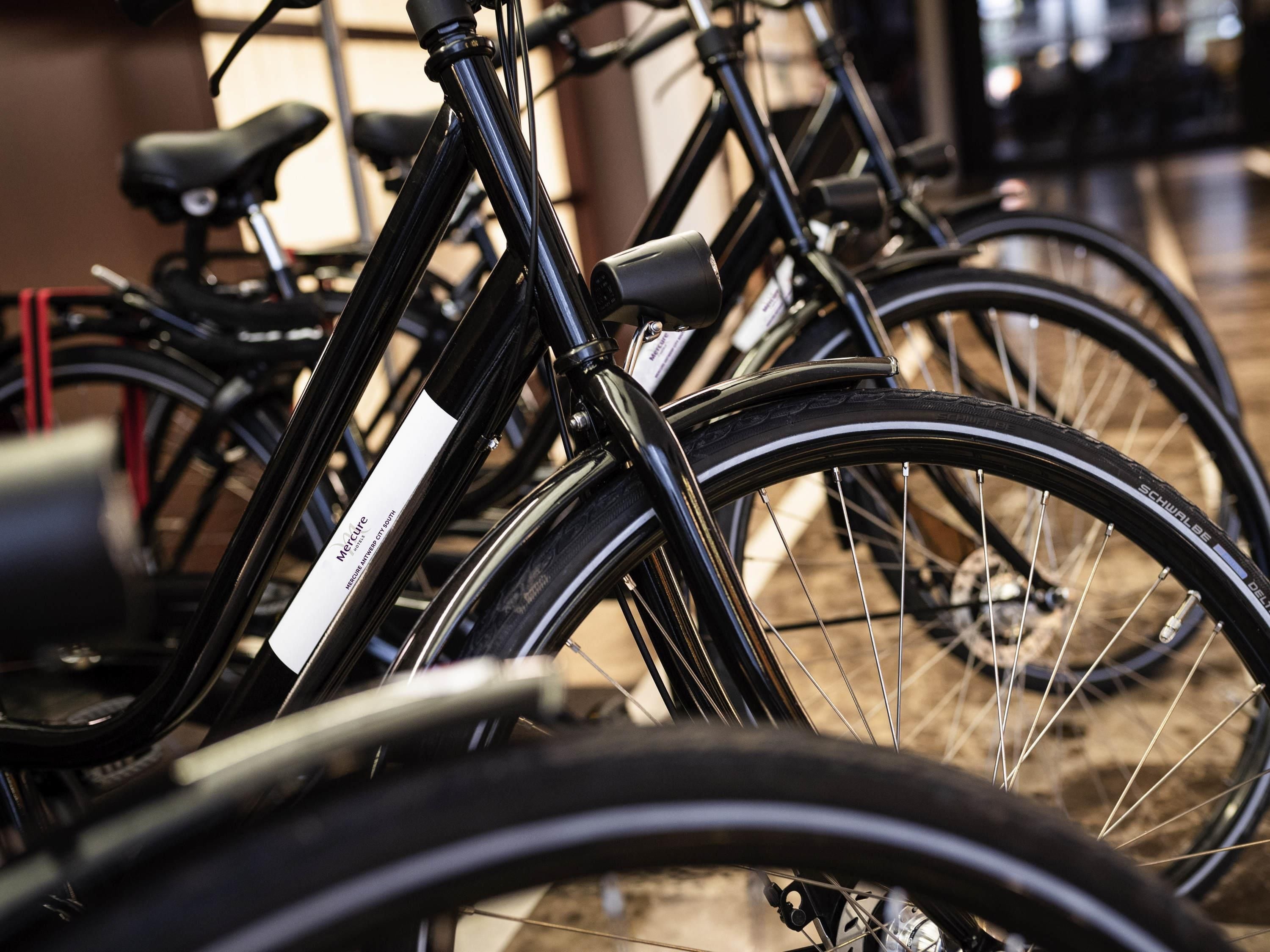 A row of bicycles with a label indicating a rental service.