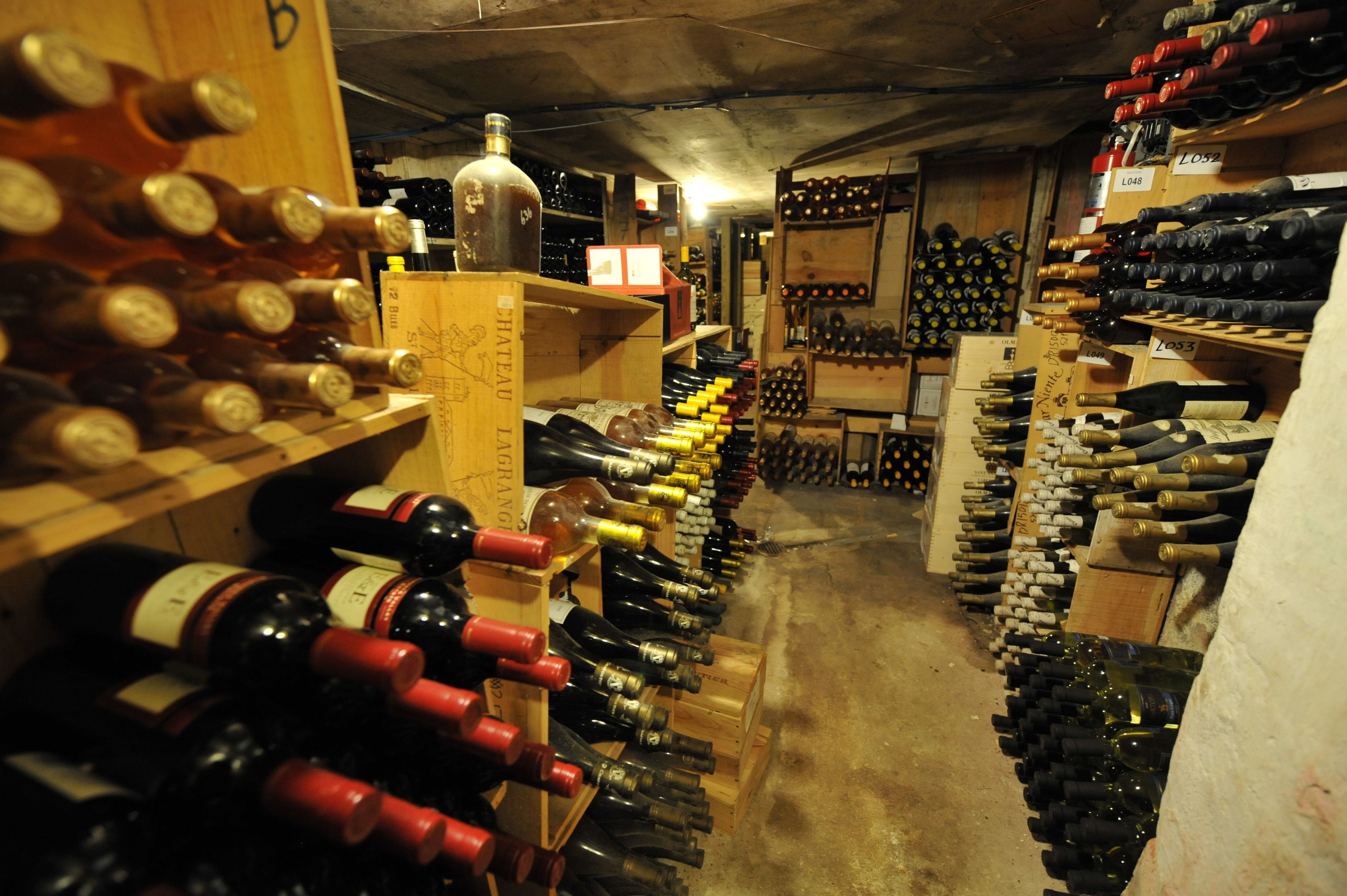 A wine cellar with rows of wine bottles on wooden shelves.