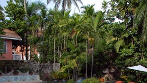 A pool with a blue and green patterned floor, surrounded by palm trees and lounge chairs. - Graycliff Hotel And Restaurant (Nassau)