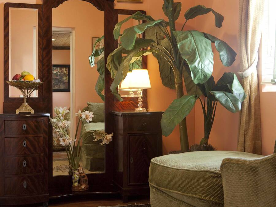 A room with a wooden dresser, a mirror, a large plant, a lamp, and a sofa.