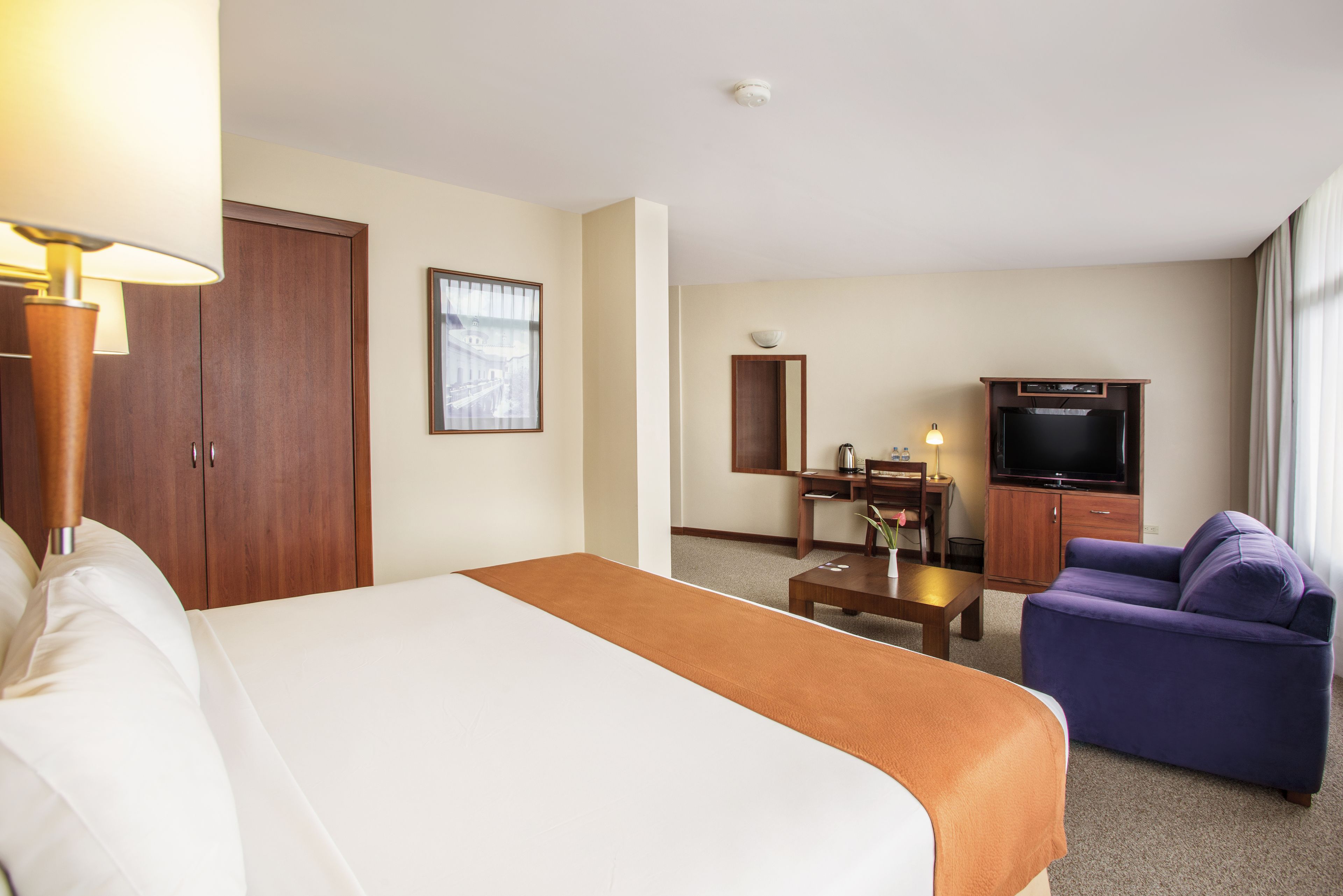 Una habitación de hotel con cama, escritorio, televisión, sofá y armario.