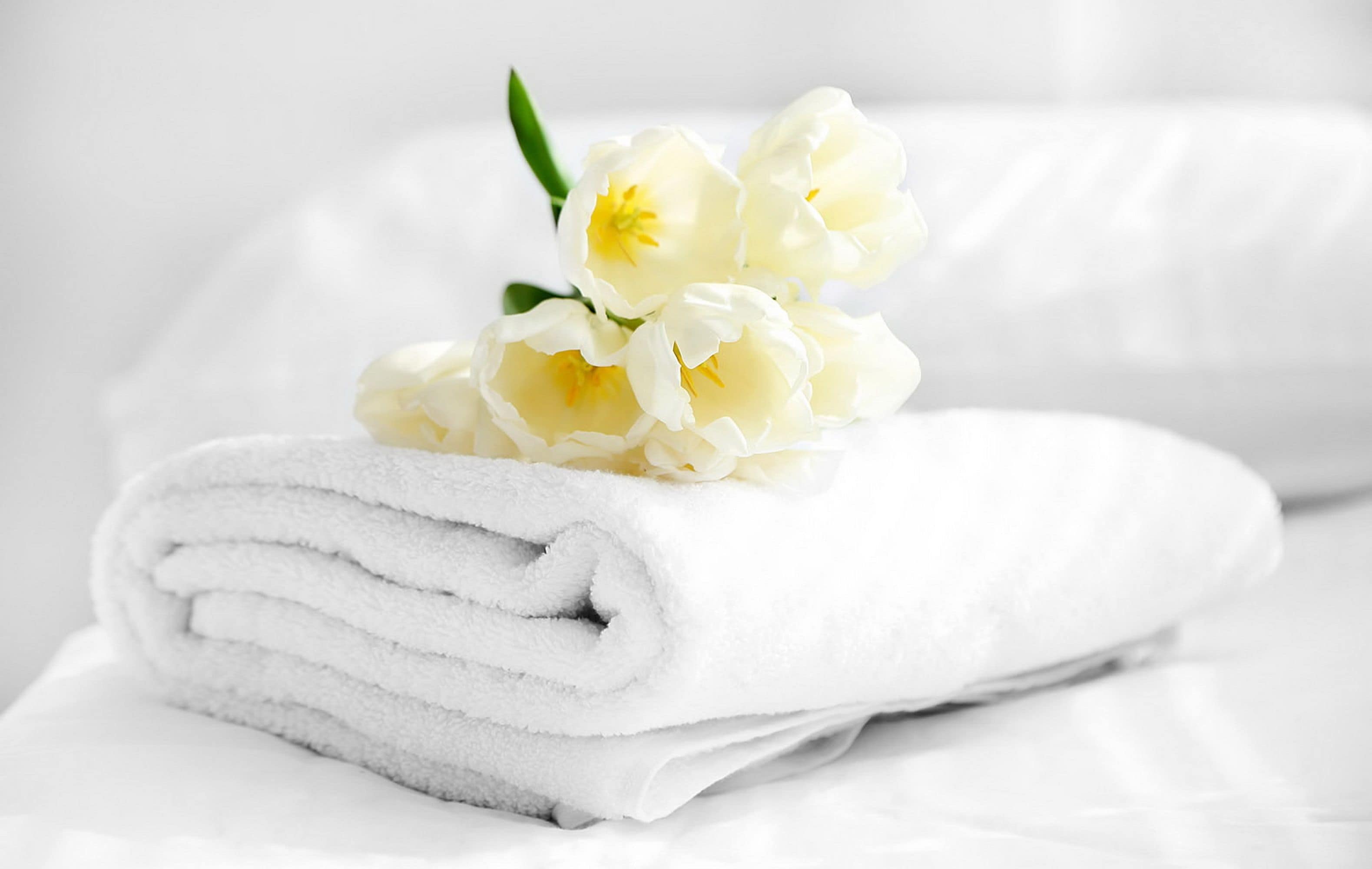 Photo - Hotel Presidente