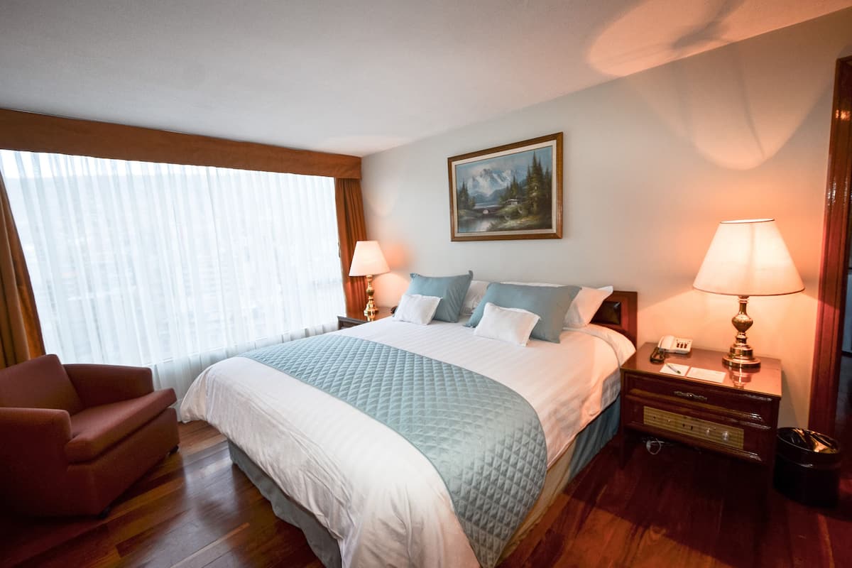 Standaard tweepersoonskamer, 1 queensize bed | Donzen dekbedden, een minibar, een kluis op de kamer, een bureau