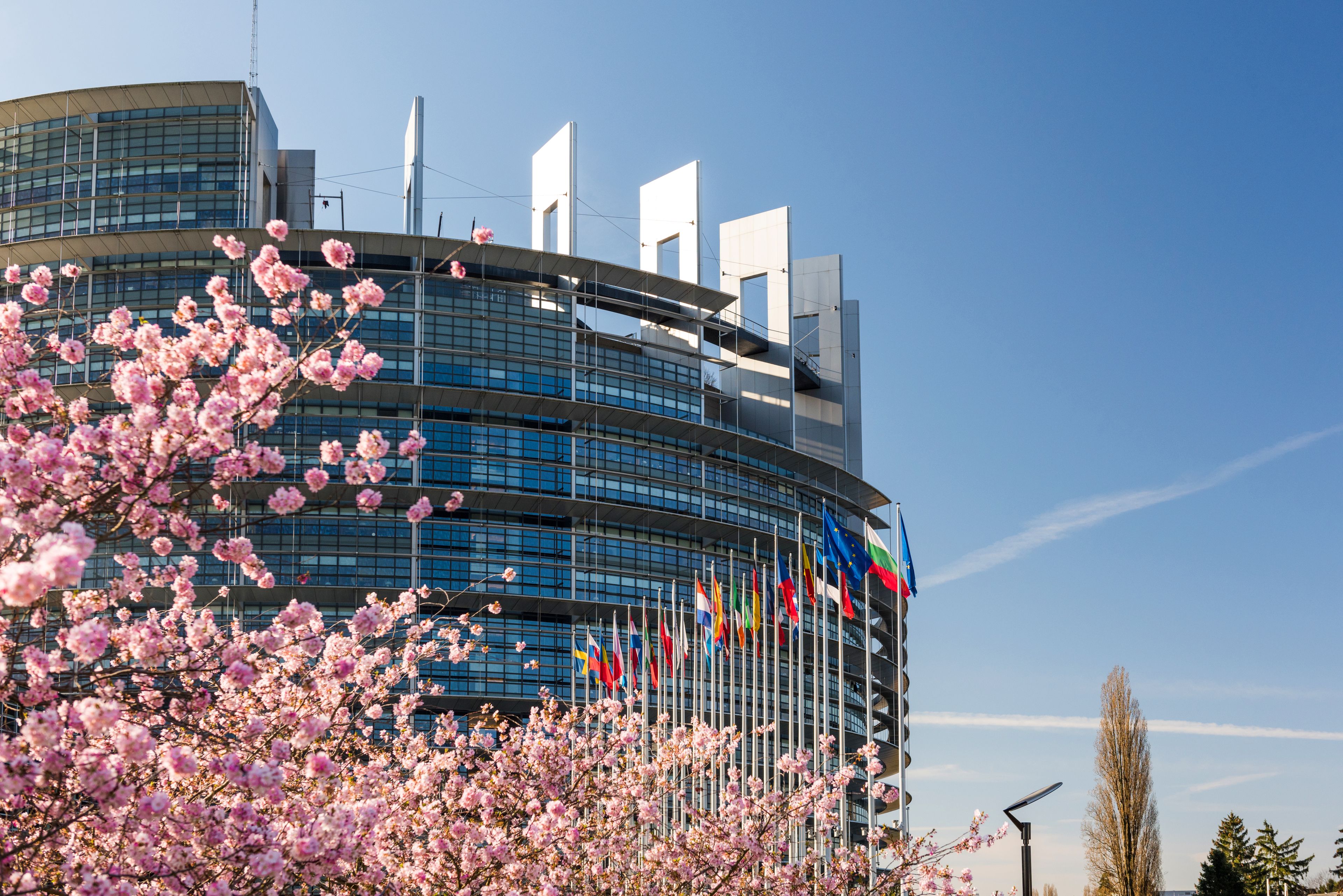 Foto - Best Western Plus Hotel Villa D'est