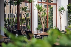 Espaço ao ar livre com mesas e cadeiras, cercado por altas palmeiras e plantas em vasos.