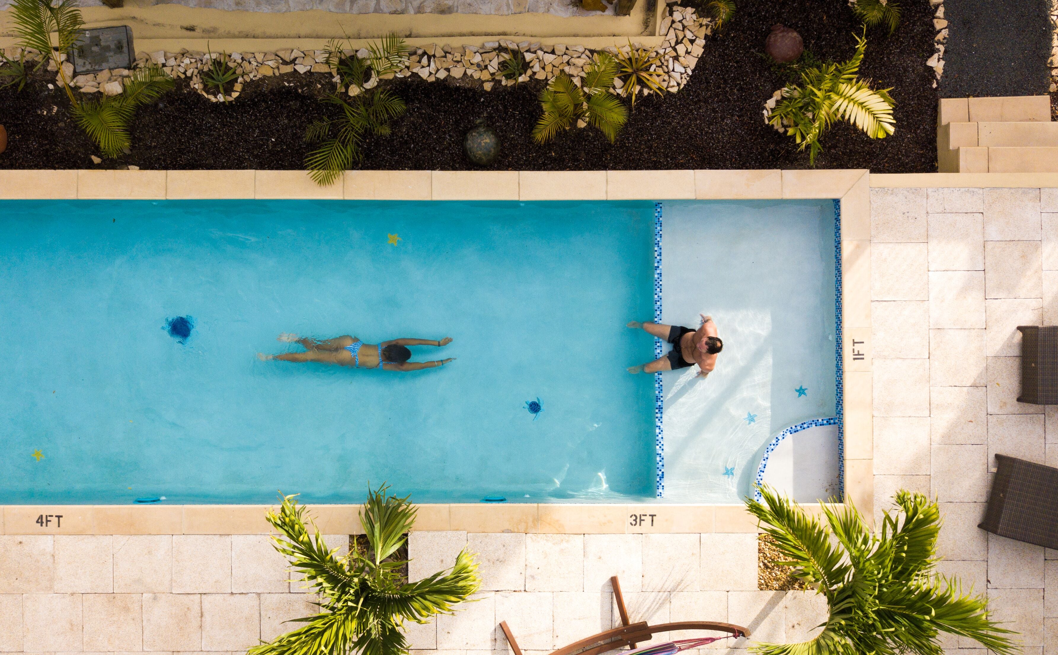 Piscina rectangular con dos personas, una nadando y otra de pie, rodeada de palmeras y un patio empedrado.